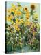 Stretched Canvas Print