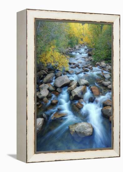 Carson River, Early Autumn Flow, Sierra Nevada-Vincent James-Framed Premier Image Canvas