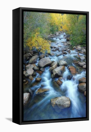 Carson River, Early Autumn Flow, Sierra Nevada-Vincent James-Framed Premier Image Canvas