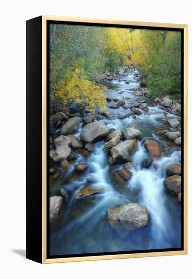 Carson River, Early Autumn Flow, Sierra Nevada-Vincent James-Framed Premier Image Canvas