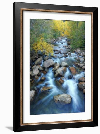 Carson River, Early Autumn Flow, Sierra Nevada-Vincent James-Framed Photographic Print