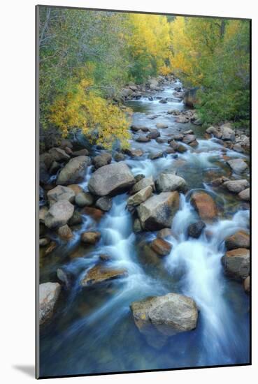 Carson River, Early Autumn Flow, Sierra Nevada-Vincent James-Mounted Photographic Print