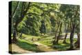 Stretched Canvas Print