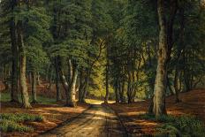 A Wooded Landscape with Deer-Carsten Henrichsen-Giclee Print