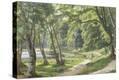 Stretched Canvas Print