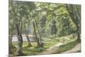 Giclee Print