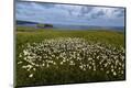 Premium Photographic Print
