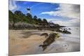 Premium Photographic Print