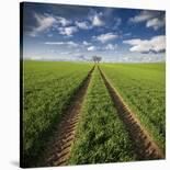 Autumnal Tracks-Carsten Meyerdierks-Framed Premier Image Canvas