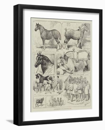 Cart-Horse Show at the Agricultural Hall-Alfred Courbould-Framed Giclee Print