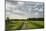 Cart Path on an Embankment with the Marchauen, Austria-Rainer Mirau-Mounted Photographic Print