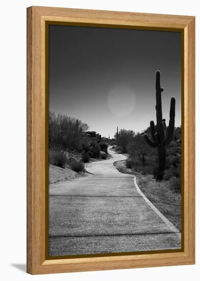 Cart Path on Desert Golf Course Arizona-null-Framed Stretched Canvas
