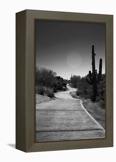 Cart Path on Desert Golf Course Arizona-null-Framed Stretched Canvas