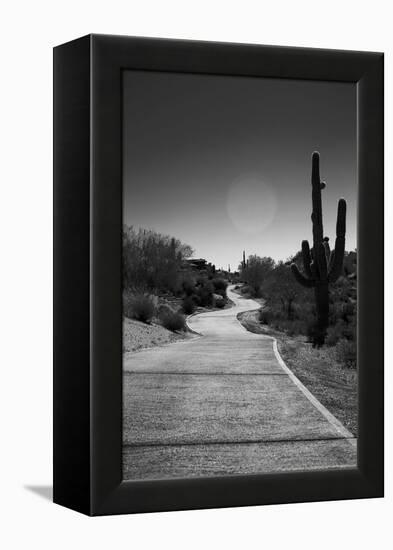 Cart Path on Desert Golf Course Arizona-null-Framed Stretched Canvas