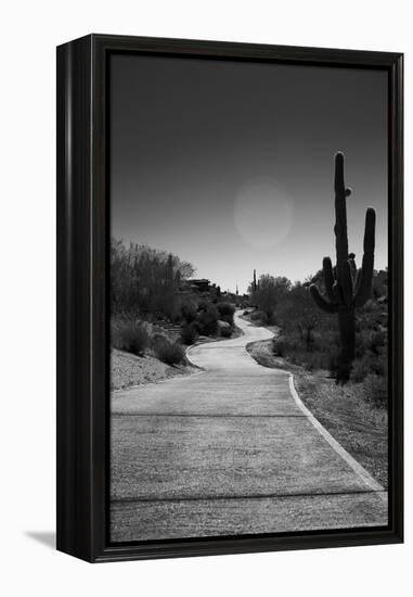 Cart Path on Desert Golf Course Arizona-null-Framed Stretched Canvas