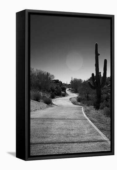 Cart Path on Desert Golf Course Arizona-null-Framed Stretched Canvas