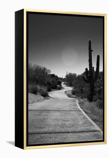 Cart Path on Desert Golf Course Arizona-null-Framed Stretched Canvas