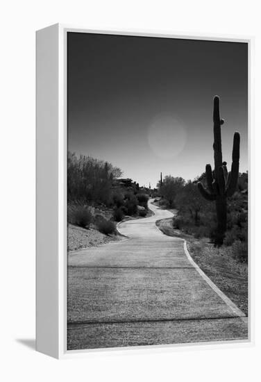 Cart Path on Desert Golf Course Arizona-null-Framed Stretched Canvas