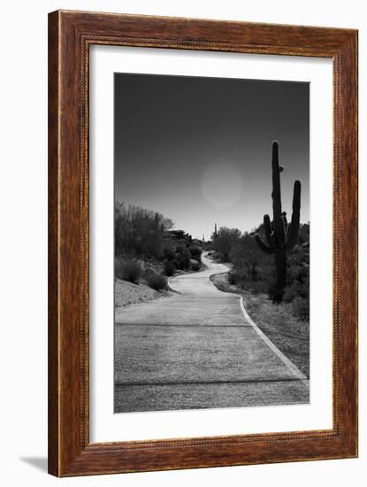 Cart Path on Desert Golf Course Arizona-null-Framed Photo