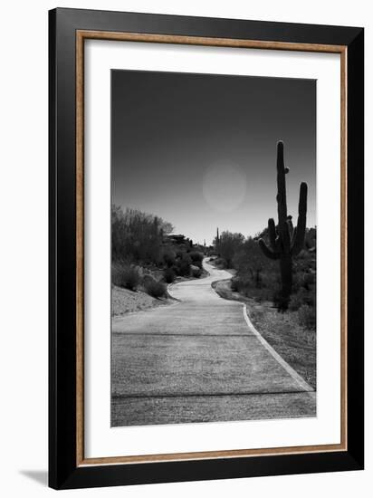 Cart Path on Desert Golf Course Arizona-null-Framed Photo