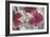 Cartagena Floral-PI Studio-Framed Art Print