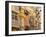 Cartagena, Murcia Region, Spain-Alan Copson-Framed Photographic Print