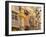 Cartagena, Murcia Region, Spain-Alan Copson-Framed Photographic Print