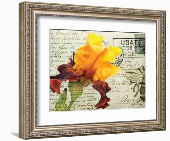 Carte Postale Iris-Amy Melious-Framed Premium Giclee Print