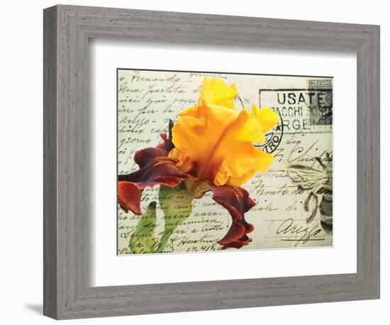 Carte Postale Iris-Amy Melious-Framed Premium Giclee Print