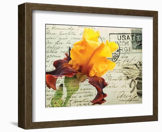 Carte Postale Iris-Amy Melious-Framed Premium Giclee Print