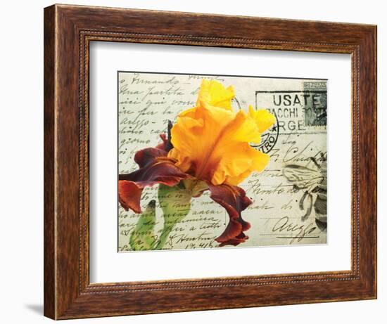 Carte Postale Iris-Amy Melious-Framed Premium Giclee Print