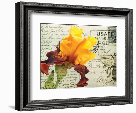 Carte Postale Iris-Amy Melious-Framed Premium Giclee Print