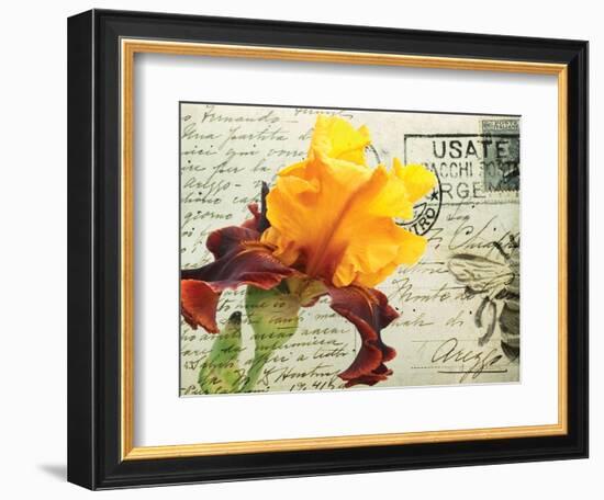 Carte Postale Iris-Amy Melious-Framed Premium Giclee Print