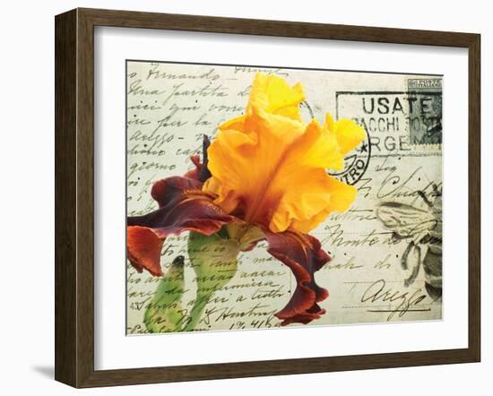 Carte Postale Iris-Amy Melious-Framed Art Print