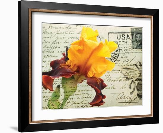 Carte Postale Iris-Amy Melious-Framed Art Print