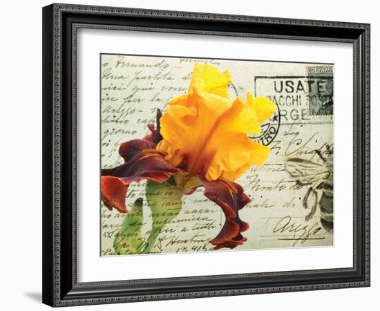 Carte Postale Iris-Amy Melious-Framed Art Print