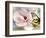 Carte Postale Magnolia II-Amy Melious-Framed Premium Giclee Print