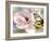 Carte Postale Magnolia II-Amy Melious-Framed Art Print