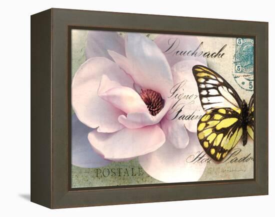 Carte Postale Magnolia II-Amy Melious-Framed Stretched Canvas