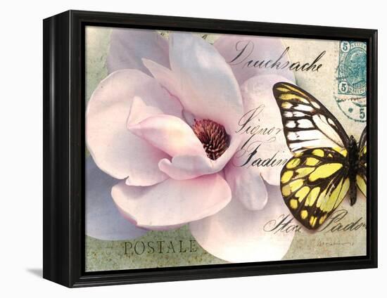 Carte Postale Magnolia II-Amy Melious-Framed Stretched Canvas