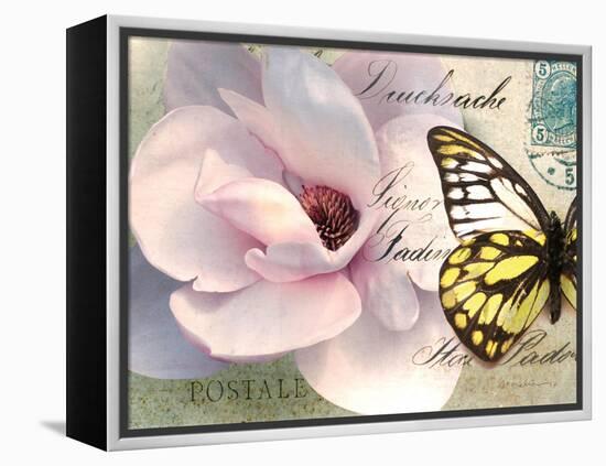Carte Postale Magnolia II-Amy Melious-Framed Stretched Canvas