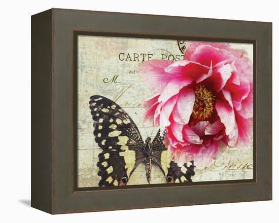 Carte Postale Peony-Amy Melious-Framed Stretched Canvas