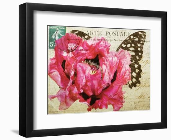 Carte Postale Poppy-Amy Melious-Framed Premium Giclee Print