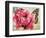 Carte Postale Poppy-Amy Melious-Framed Premium Giclee Print