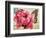 Carte Postale Poppy-Amy Melious-Framed Premium Giclee Print