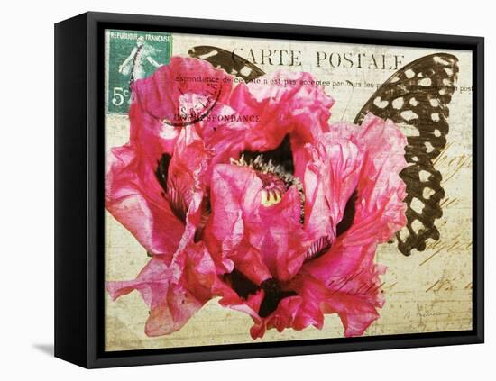 Carte Postale Poppy-Amy Melious-Framed Stretched Canvas