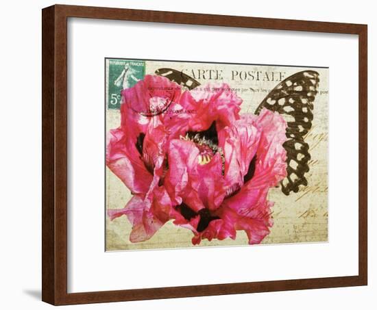 Carte Postale Poppy-Amy Melious-Framed Art Print