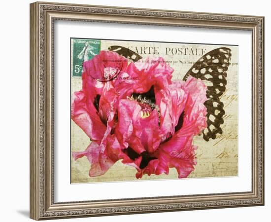 Carte Postale Poppy-Amy Melious-Framed Art Print