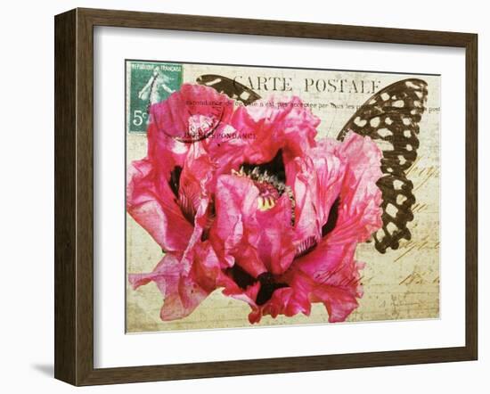Carte Postale Poppy-Amy Melious-Framed Art Print