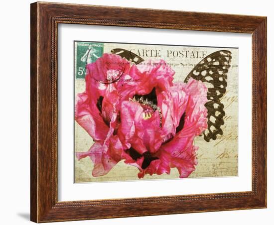 Carte Postale Poppy-Amy Melious-Framed Art Print